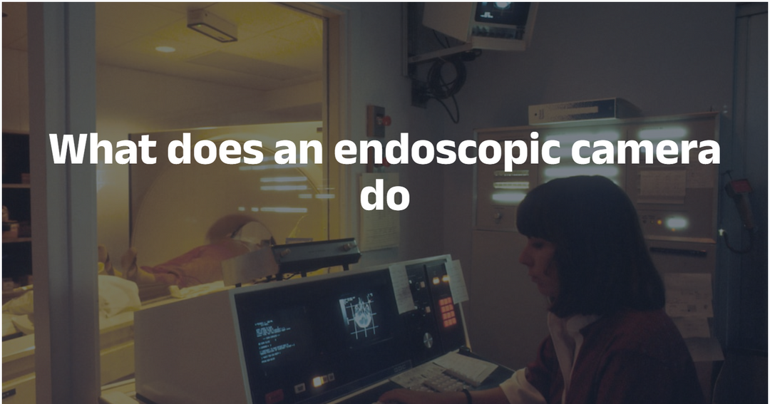 What does an endoscopic camera do